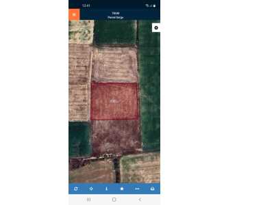 Bozkuşta(Hacıömer Mahallesi) Satılık Tarla Bolvadin