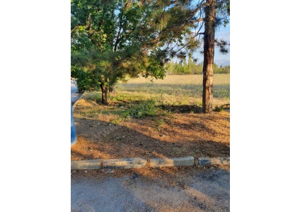 Horan Parkında Satılık Tarla Hobi Bahçesi Bolvadin