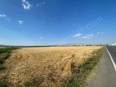 Çobanlar Yoluna Cepheli Satılık Tarla Afyon Bolvadin