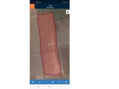 Malazgirt Mahallesinde Satılık Tarla Bolvadin