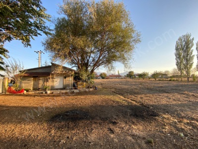 Boltaş Arkasında Yatırımlık Satılık Tarla Bolvadin
