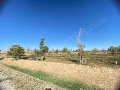 2 Bolova Karşısında Yatırımlık Satılık Tarla Bolvadin