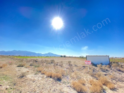 Boltaş Arkasında Köşe Başında Satılık Tarla Bolvadin