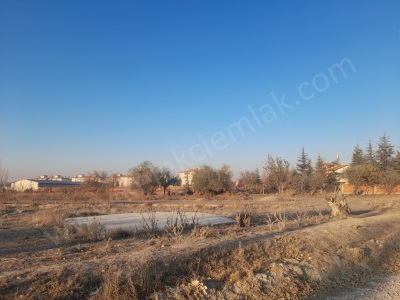 Toki Arkasında Yola Cepheli Satılık Tarla Bolvadin