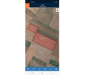 Yakupşevkipaşa(Saraykırı)Mahallesinde Satılık Tarla Bolvadin