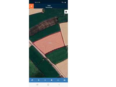 Gölbaşı Mahallesinde Satılık Tarla Afyon Bolvadin