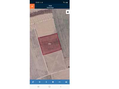 Şıhlar Mahallesinde Satılık Tarla Afyon Bolvadin