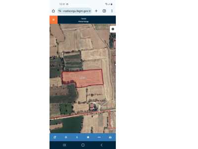 Erkmende Çevre Yoluna Çok Yakın Satılık Tarla Bolvadin