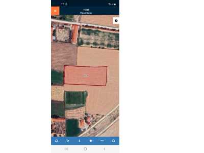 İhsaniye(Saraykırı)Mahallesinde Satılık Tarla Bolvadin