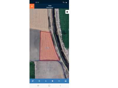 Selçuklu Mahallesinde Satılık Tarla Afyon Bolvadin