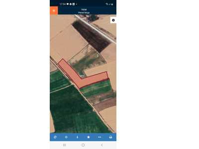 Yeni Tekke Yanında Satılık Tarla Afyon Bolvadin
