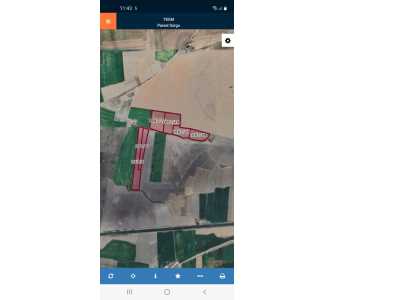 Selçukluda Toplu Satılık Tarla Afyon Bolvadin