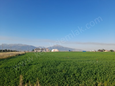 Selçukluda Çevre Yolunda Ticari Satılık Arsa Bolvadin