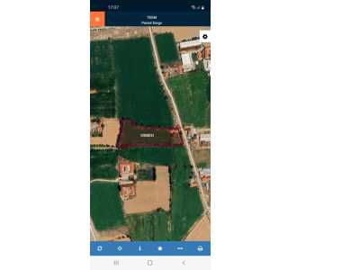 Kırkgöz Mahallesinde Boltaşın Arkasında Satılık Tarla Bolvadin