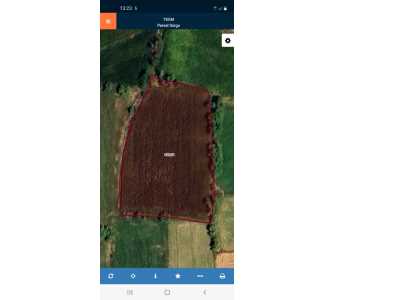 Erkmen(Harlak)Ta Satılık Tarla Bolvadin