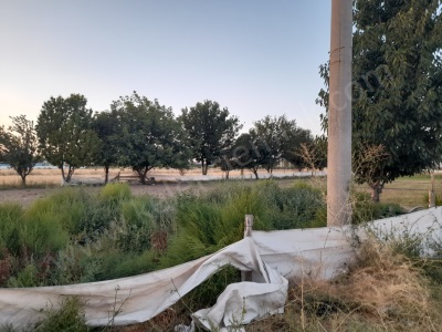 Kırkgöz Mahallesinde Güney Cepheli Satılık Arsa Bolvadin