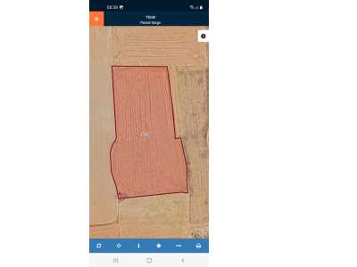 Kale Mahallesinde Satılık Tarla Afyon Bolvadin