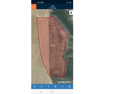 Kale Mahallesinde Yola Cepheli Satılık Tarla Bolvadin