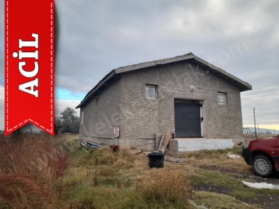 Kırkgöz Mahallesinde Yola Cepheli Acil Satılık Tarla Bolvadin