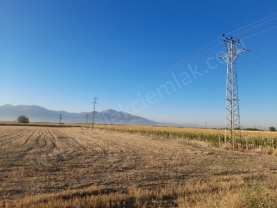 Çobanlar Yoluna Cepheli Satılık Tarla Afyon Bolvadin