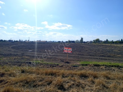 Toki Yanında İmar İçerisinde Tarla Satılık Arsa Bolvadin