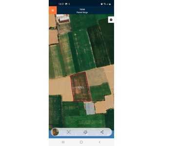 Field For Sale in  Turkey, Afyon, Bolvadin, Downtown , 7770 m2