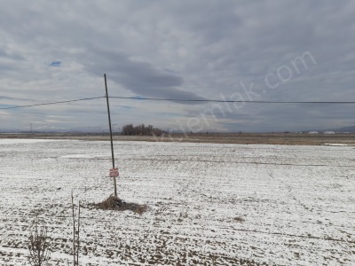 Selçukluda Çay Bolvadin Yoluna Cepheli Satılık Tarla