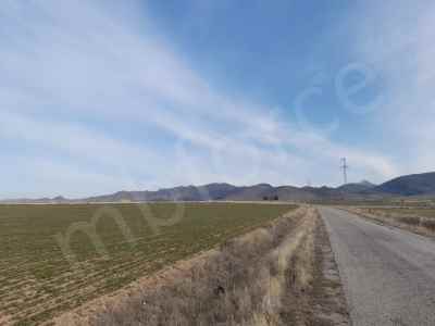 Field For Sale in  Turkey, Afyon, Bolvadin, Downtown , 11672 m2