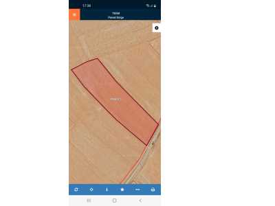 Taşağıl Yoluna Cepheli Satılık Tarla Afyon Bolvadin