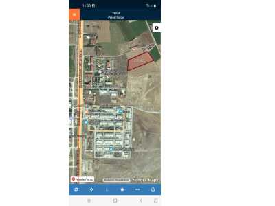 Yüksek Okul Arkasında Satılık Tarla Afyon Bolvadin