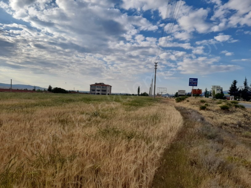 ESKİŞEHİR KONYA YOLUNA SIFIR NİTELİKLİ TARLA