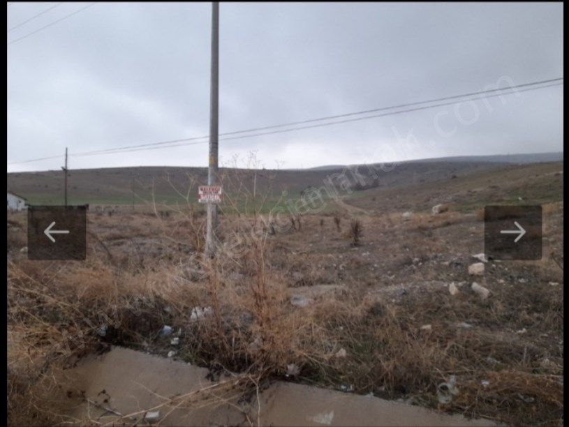 AFYON  KONYA KARA YOLUNA  SIFIR TARLA