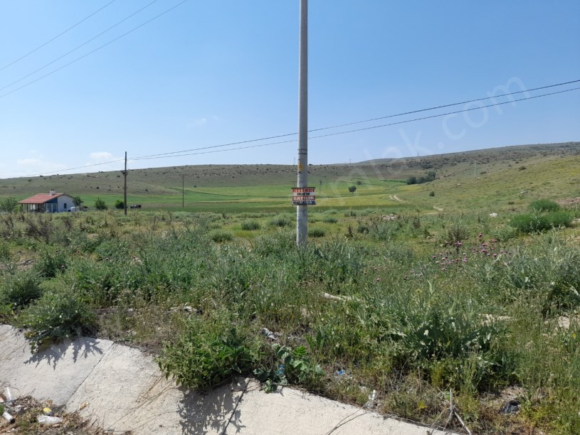 AFYON  KONYA KARA YOLUNA  SIFIR TARLA