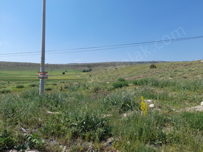 AFYON  KONYA KARA YOLUNA  SIFIR TARLA
