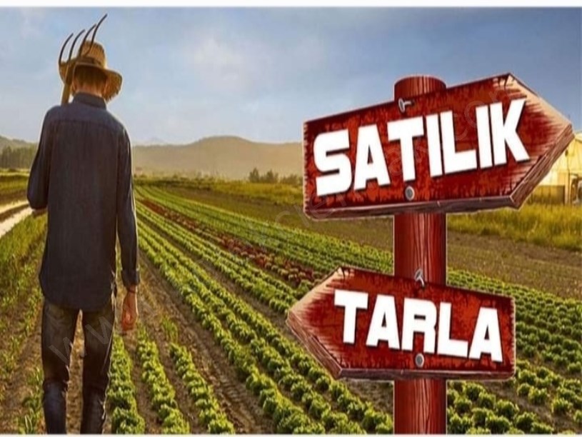 BAĞLARÜSTÜNDE TARLA