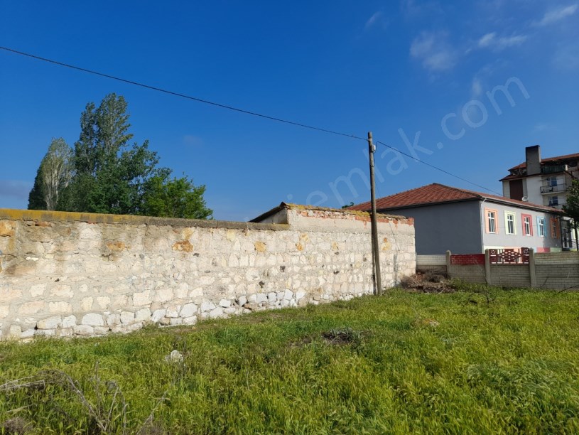 SELÇUKLU MAHALLESİNDE TAVUK ÇİFTLİĞİ