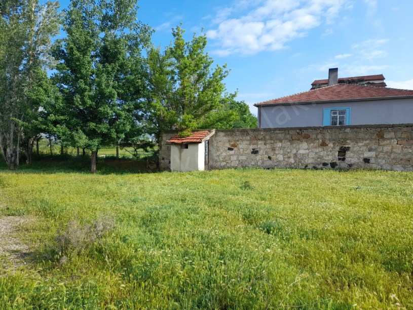 SELÇUKLU MAHALLESİNDE TAVUK ÇİFTLİĞİ