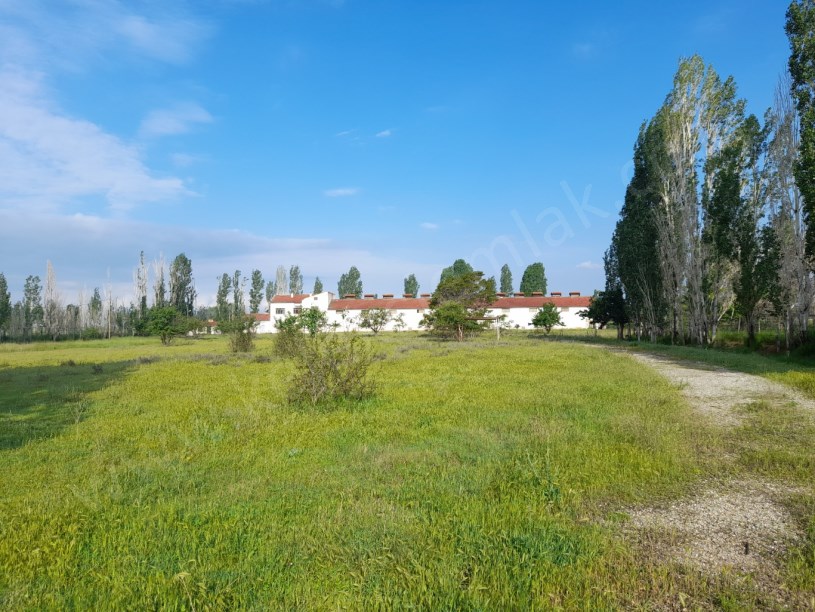 SELÇUKLU MAHALLESİNDE TAVUK ÇİFTLİĞİ