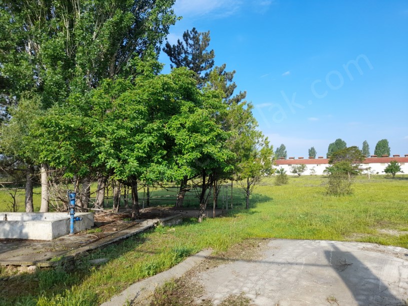 SELÇUKLU MAHALLESİNDE TAVUK ÇİFTLİĞİ