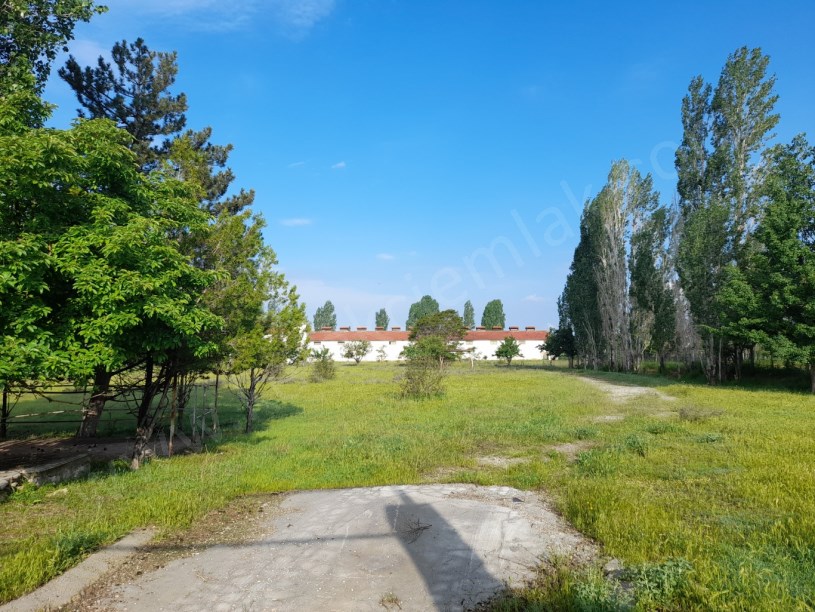 SELÇUKLU MAHALLESİNDE TAVUK ÇİFTLİĞİ