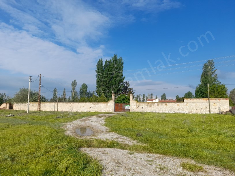 SELÇUKLU MAHALLESİNDE TAVUK ÇİFTLİĞİ