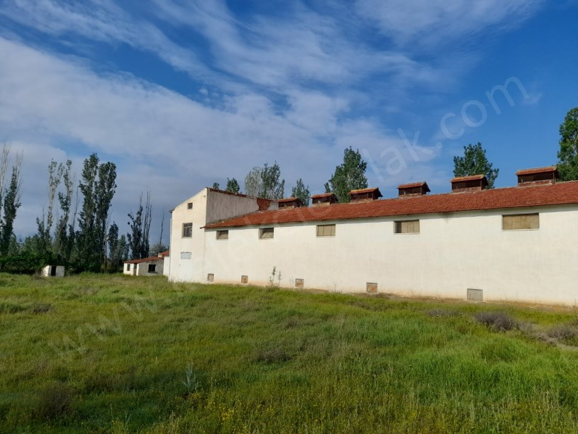 SELÇUKLU MAHALLESİNDE TAVUK ÇİFTLİĞİ