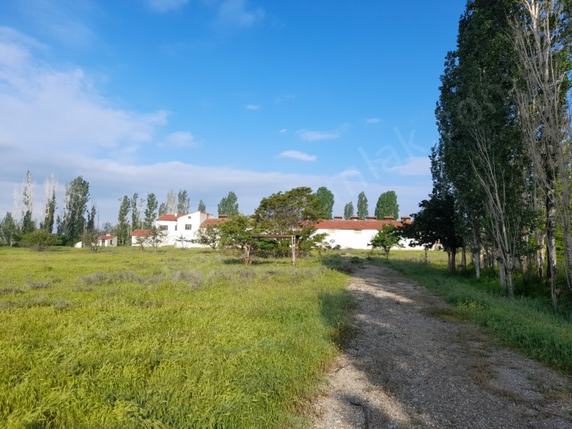 SELÇUKLU MAHALLESİNDE TAVUK ÇİFTLİĞİ