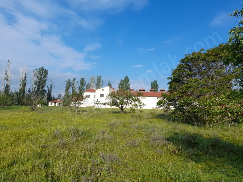SELÇUKLU MAHALLESİNDE TAVUK ÇİFTLİĞİ