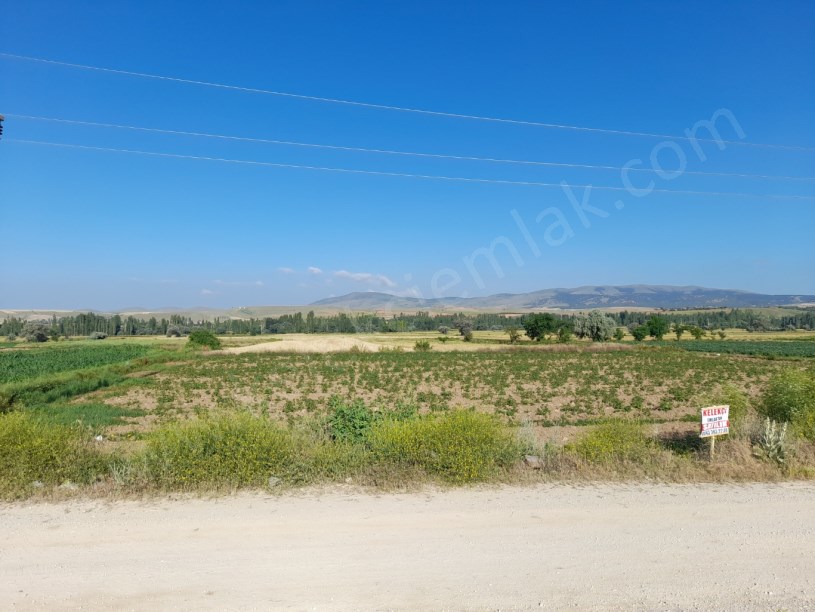 DİŞLİ MAVLANA MAHALLESİNDE ESKİŞEHİR KONYA YOLUNA CEPHELİ TARLA