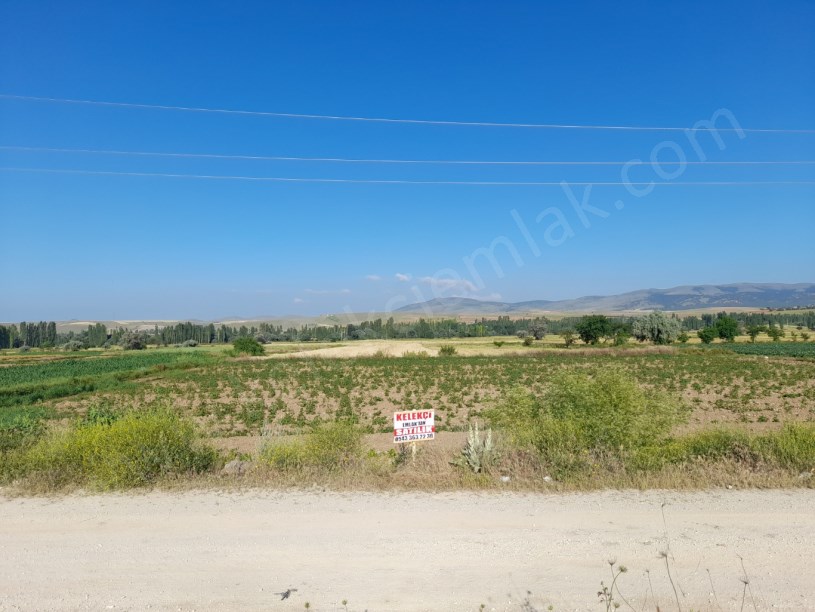 DİŞLİ MAVLANA MAHALLESİNDE ESKİŞEHİR KONYA YOLUNA CEPHELİ TARLA