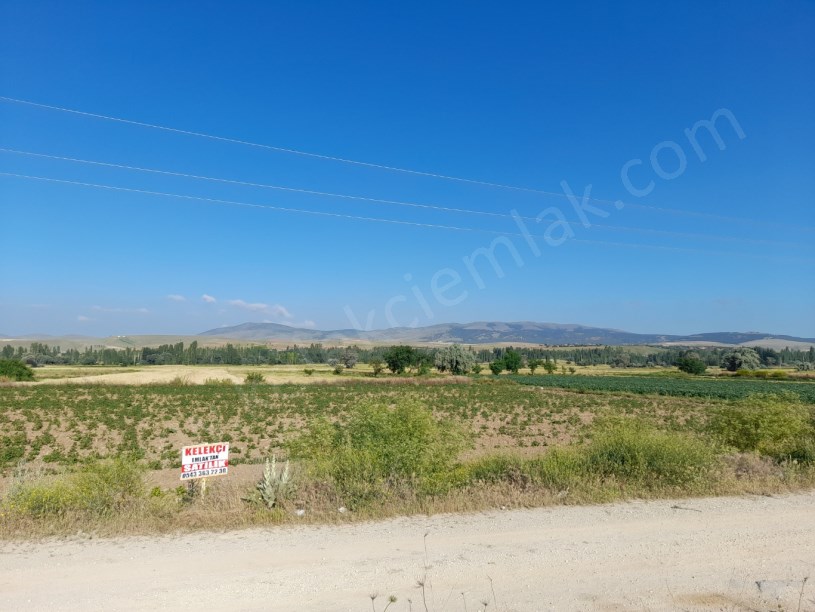 DİŞLİ MAVLANA MAHALLESİNDE ESKİŞEHİR KONYA YOLUNA CEPHELİ TARLA