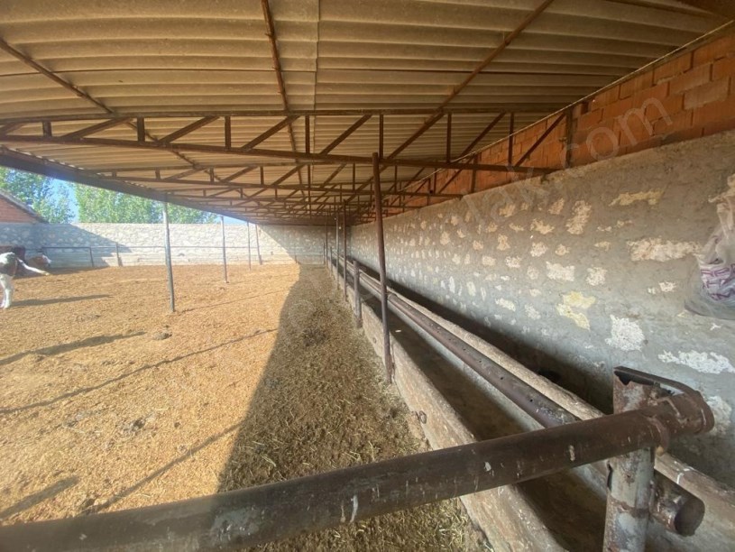 BOLTAŞIN ARKASINDA ÇİFTLİK