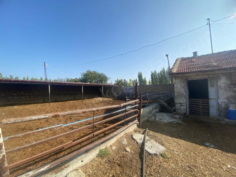 BOLTAŞIN ARKASINDA ÇİFTLİK