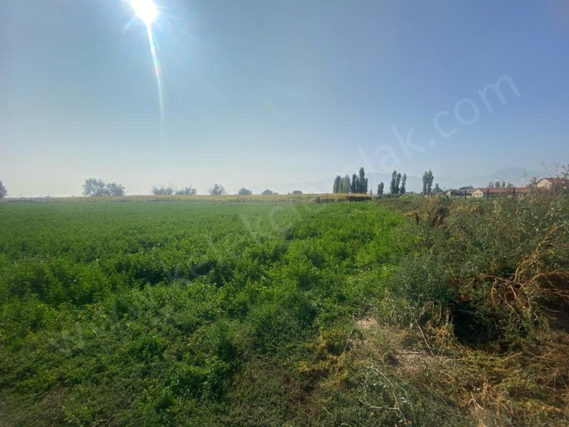 BOLTAŞIN ARKASINDA ÇİFTLİK